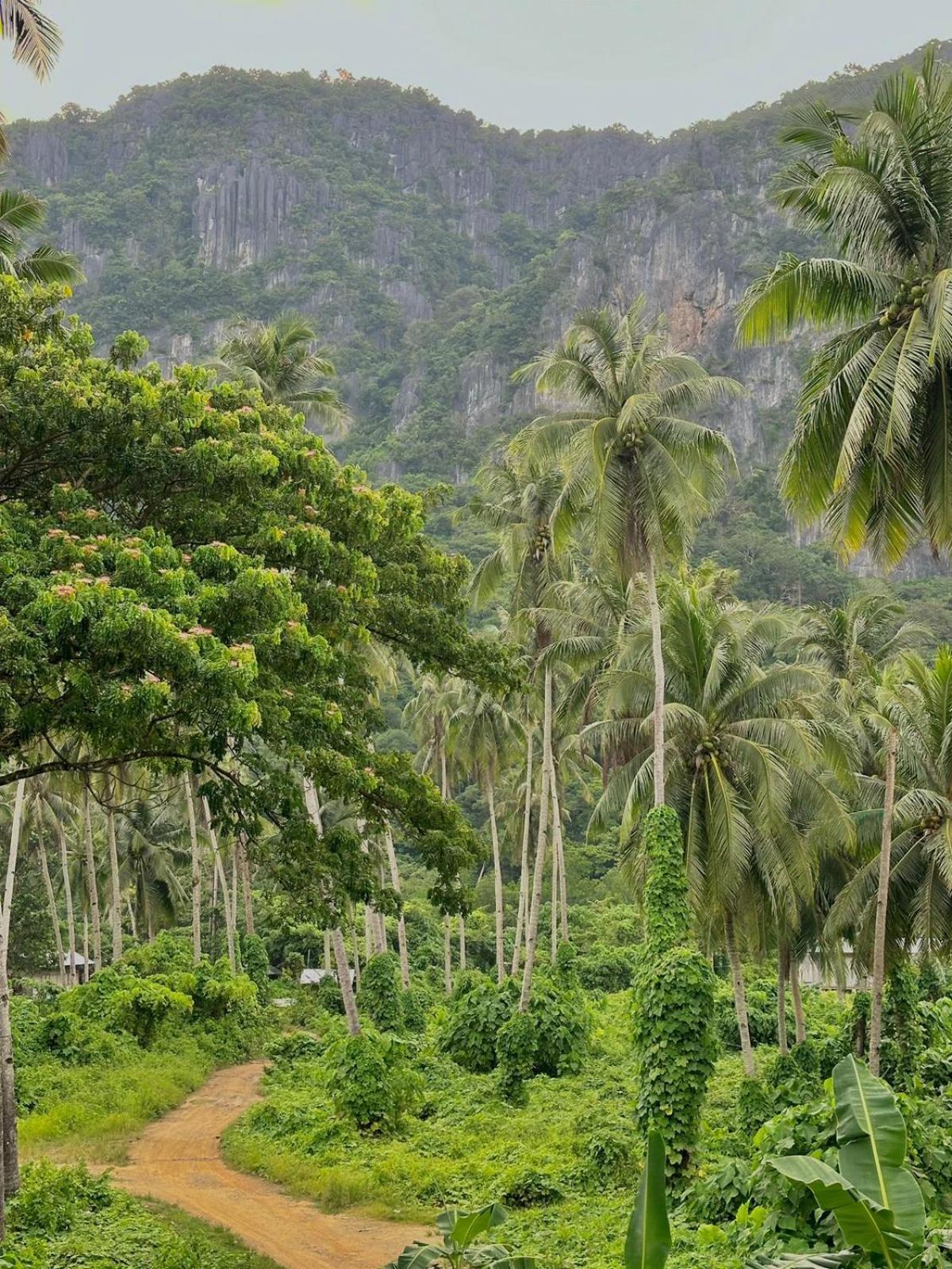 Casa Juliana El Nido Hotel Kültér fotó